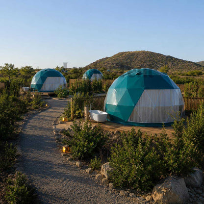 Forest Customized Diameters Outdoor Dark Green PVC Glamping Geodesic Dome Tent For Hotel Use DT004