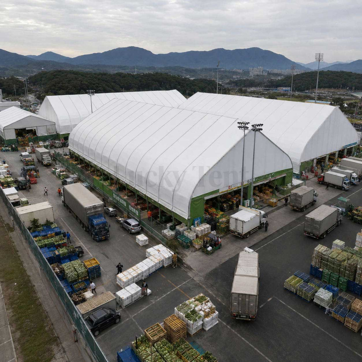 Outdoor Permanent Strong Frame Structure Marquee Tents Sport Court Cover Shading Tent for Outdoor Sport Event TFS003